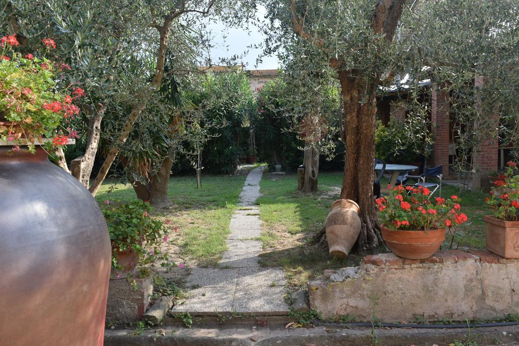 לינה וארוחת בוקר Uliveto Terme La Convenienza מראה חיצוני תמונה