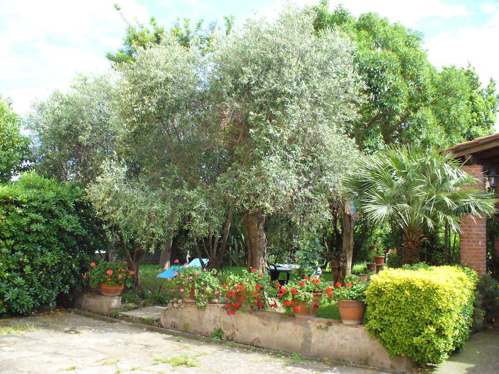 לינה וארוחת בוקר Uliveto Terme La Convenienza מראה חיצוני תמונה